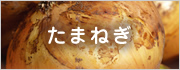 たまねぎ