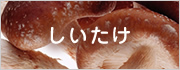 しいたけ