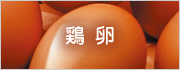 鶏卵