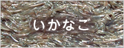 いかなご